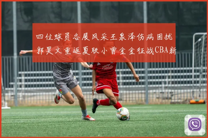 四位球员各展风采王泉泽伤病困扰郭昊文重返夏联小曾金金征战CBA新赛季