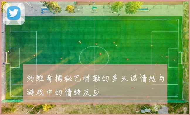 约维奇揭秘巴特勒的多米诺情结与游戏中的情绪反应