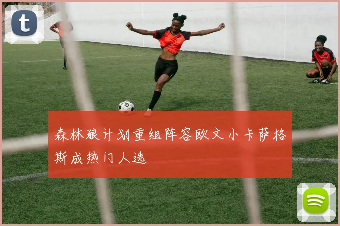 森林狼计划重组阵容欧文小卡萨格斯成热门人选